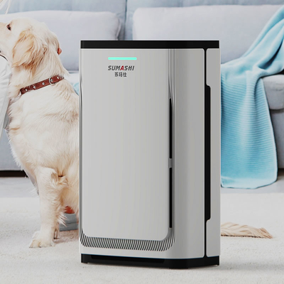 Activated Carbon Filter Air Purifier For Pet Hair And Dander