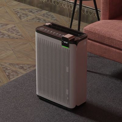 Büro Adsorption schwimmendes Haar Haustier Luftreiniger Reaktiver Sauerstoff für Haustiere