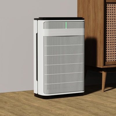 2024 Neue Kollektion Hepa Filter Smart WIFI Haustier Luftreiniger Haustierfamilie