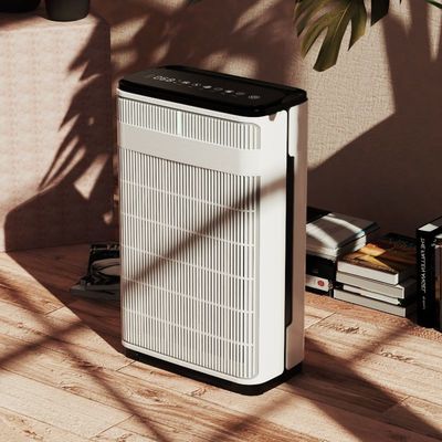 Premium-Lieblingsluftreiniger entfernt Haare und Schuppen